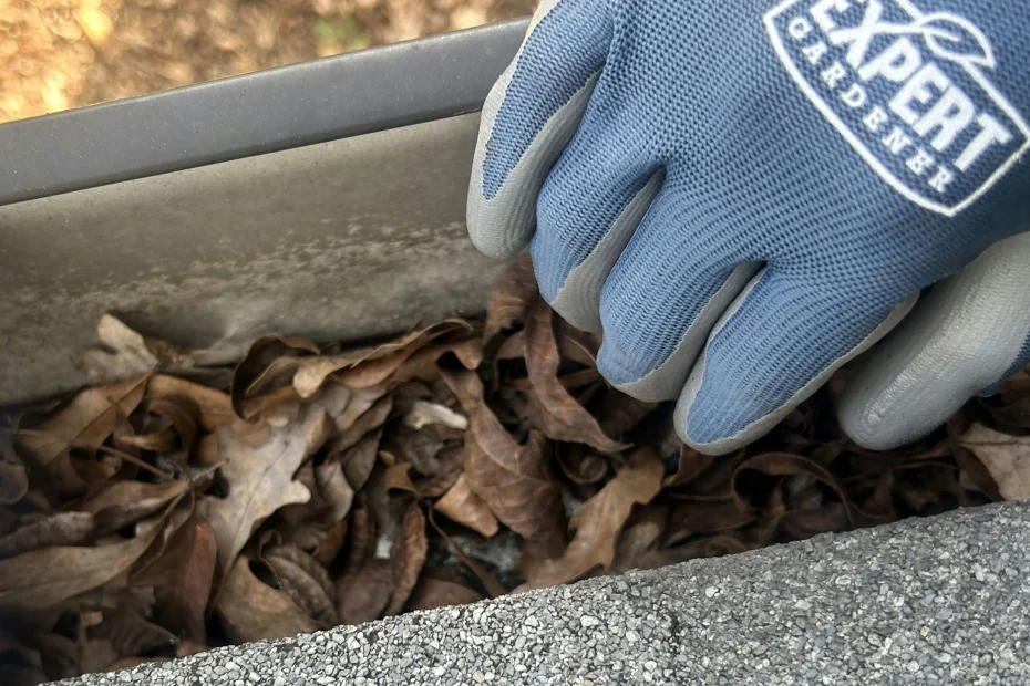 Gutter Cleaning Pleasant Garden